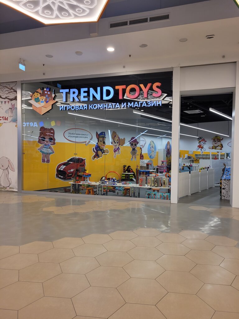 Playground Trend Toys, Pushkino, photo