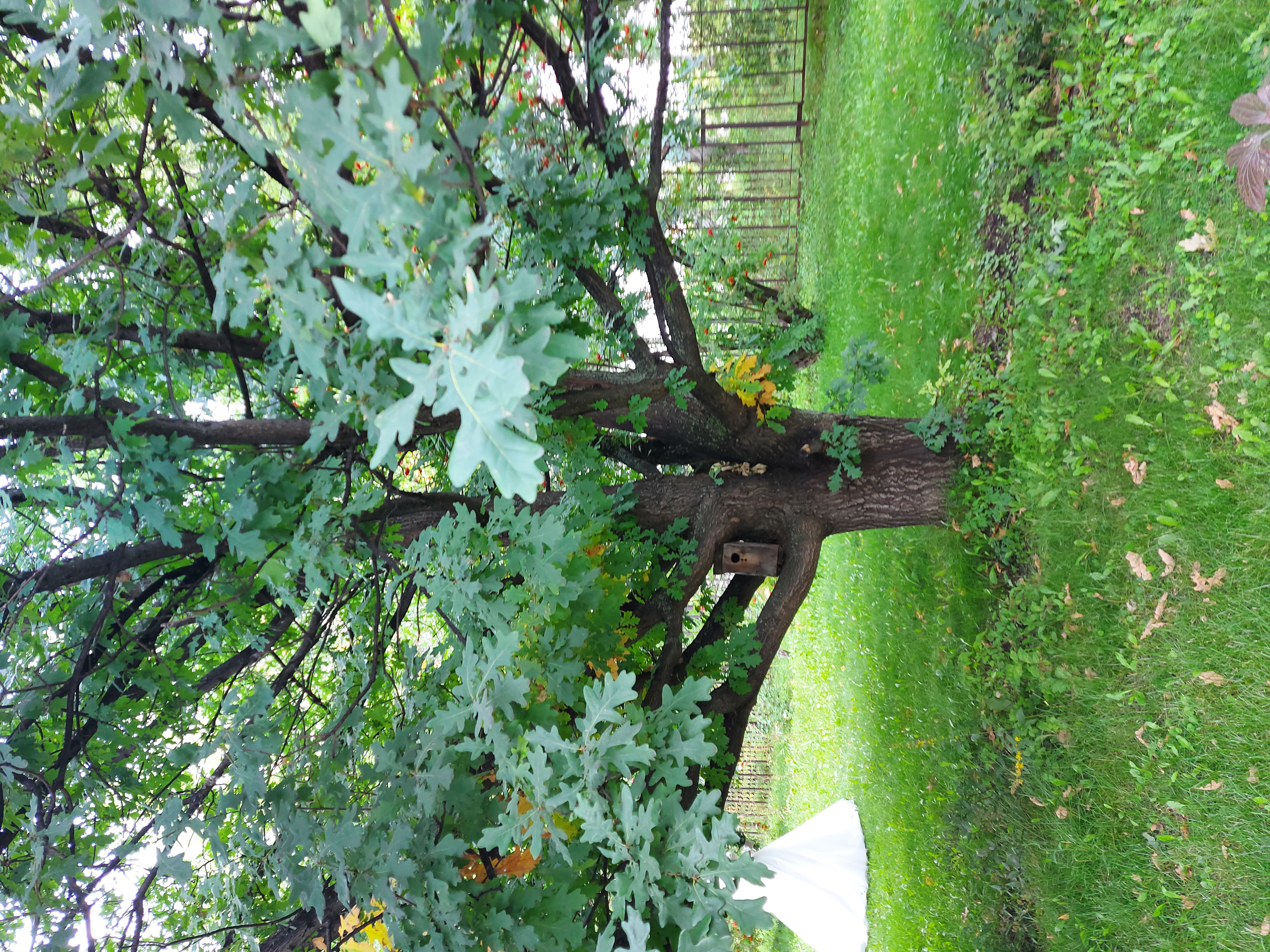 Фото Бодрость