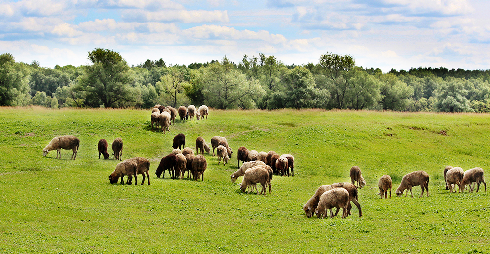 Фото Живое Окунево