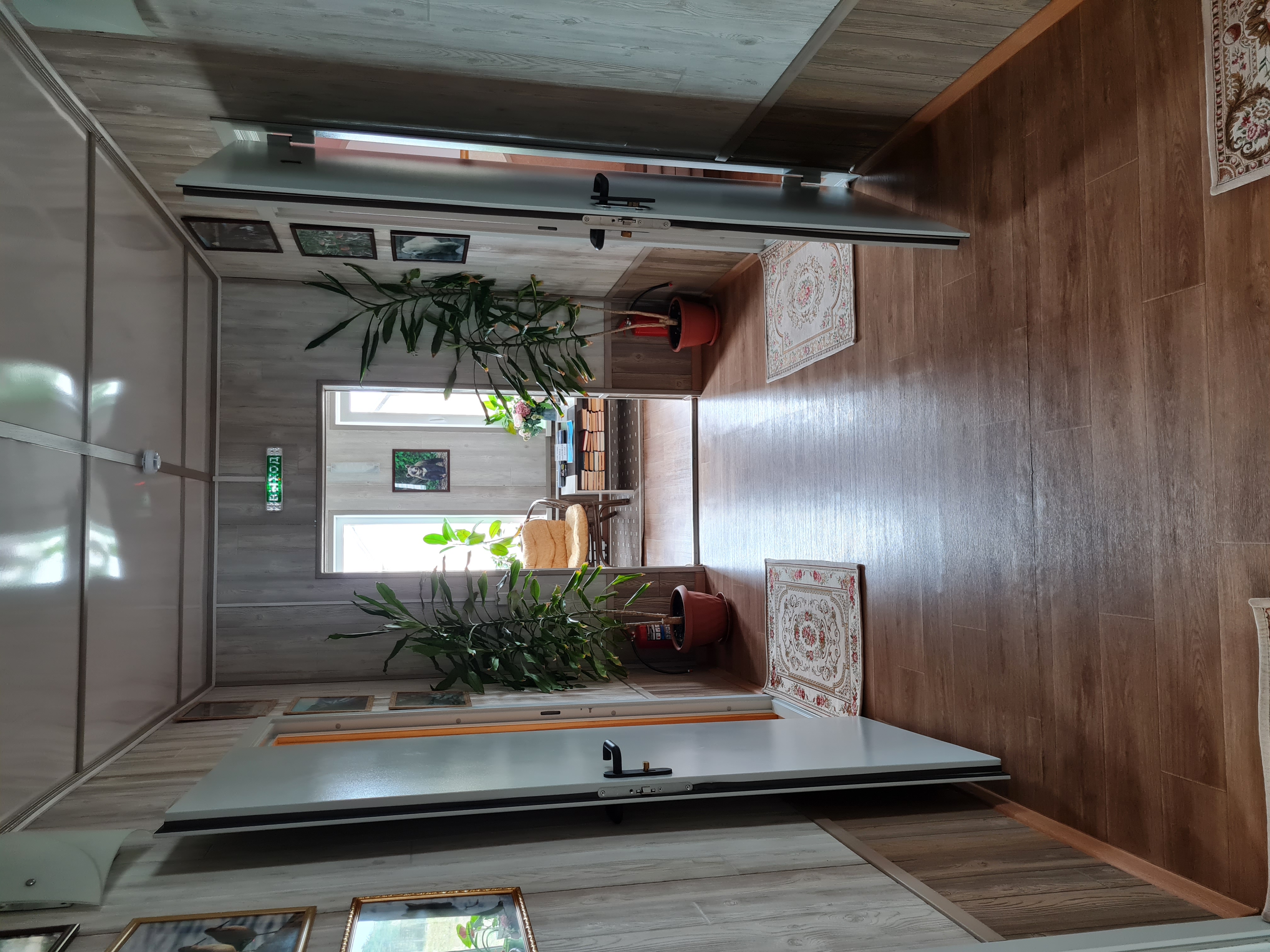 Фото Медведь