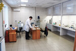 Simex-Chem (Transportnaya Street, 4), lubricants