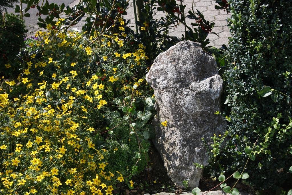 Фото Hotel Garni Retterath - Nürburgring