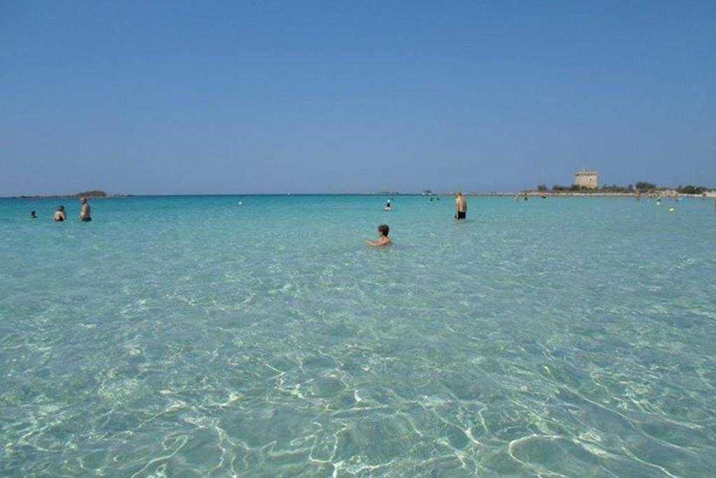 Фото Agriturismo Terra D'Ulivi