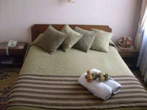 Гостиница Hotel Mercurio