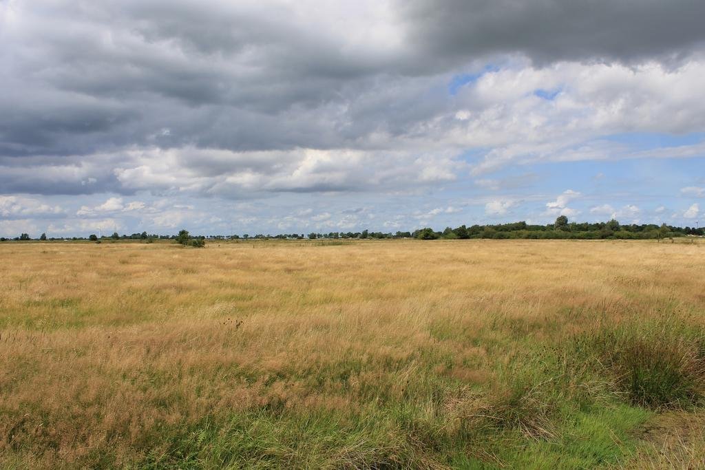 Фото Gästezimmer Elisabeth Hoppe