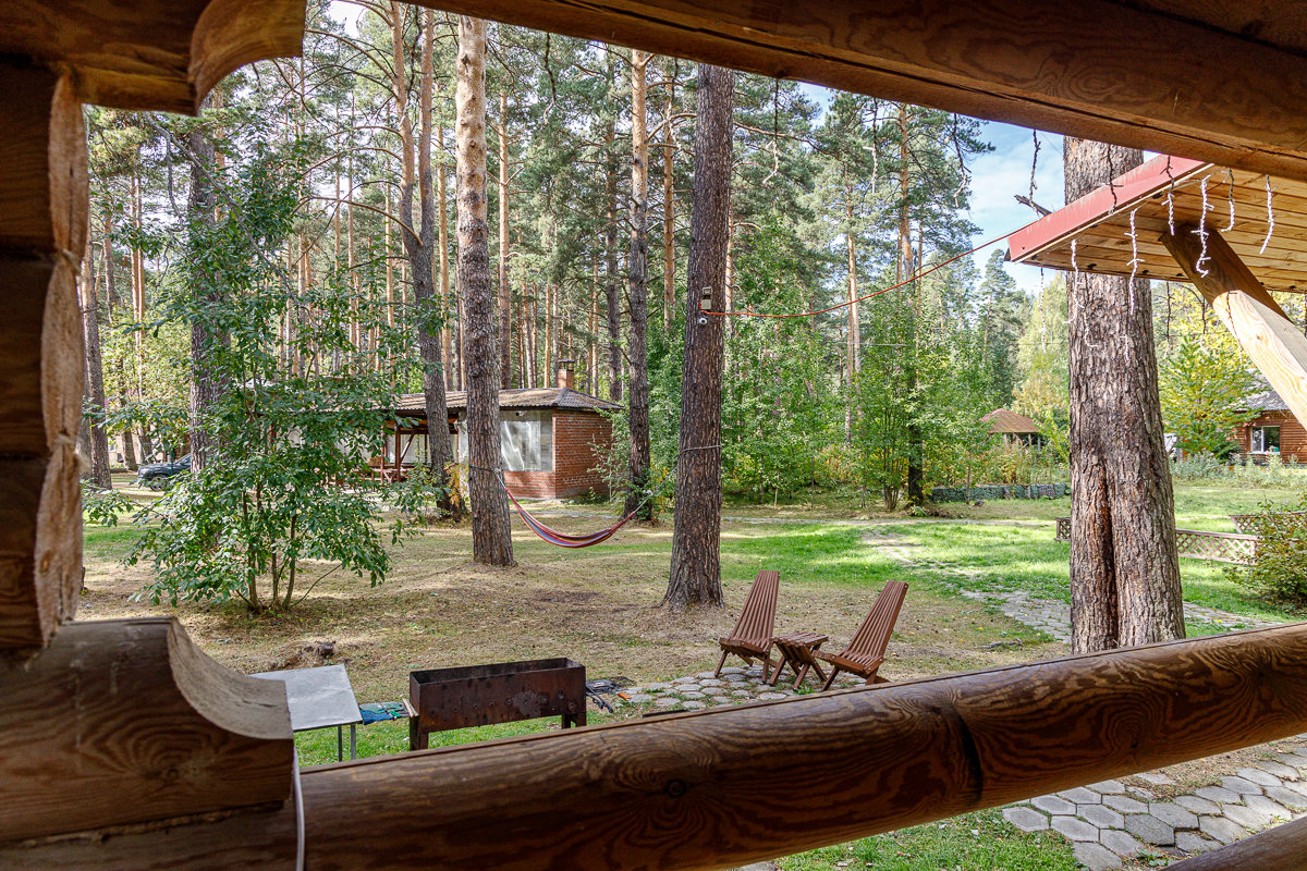 Фото Дача в соснах