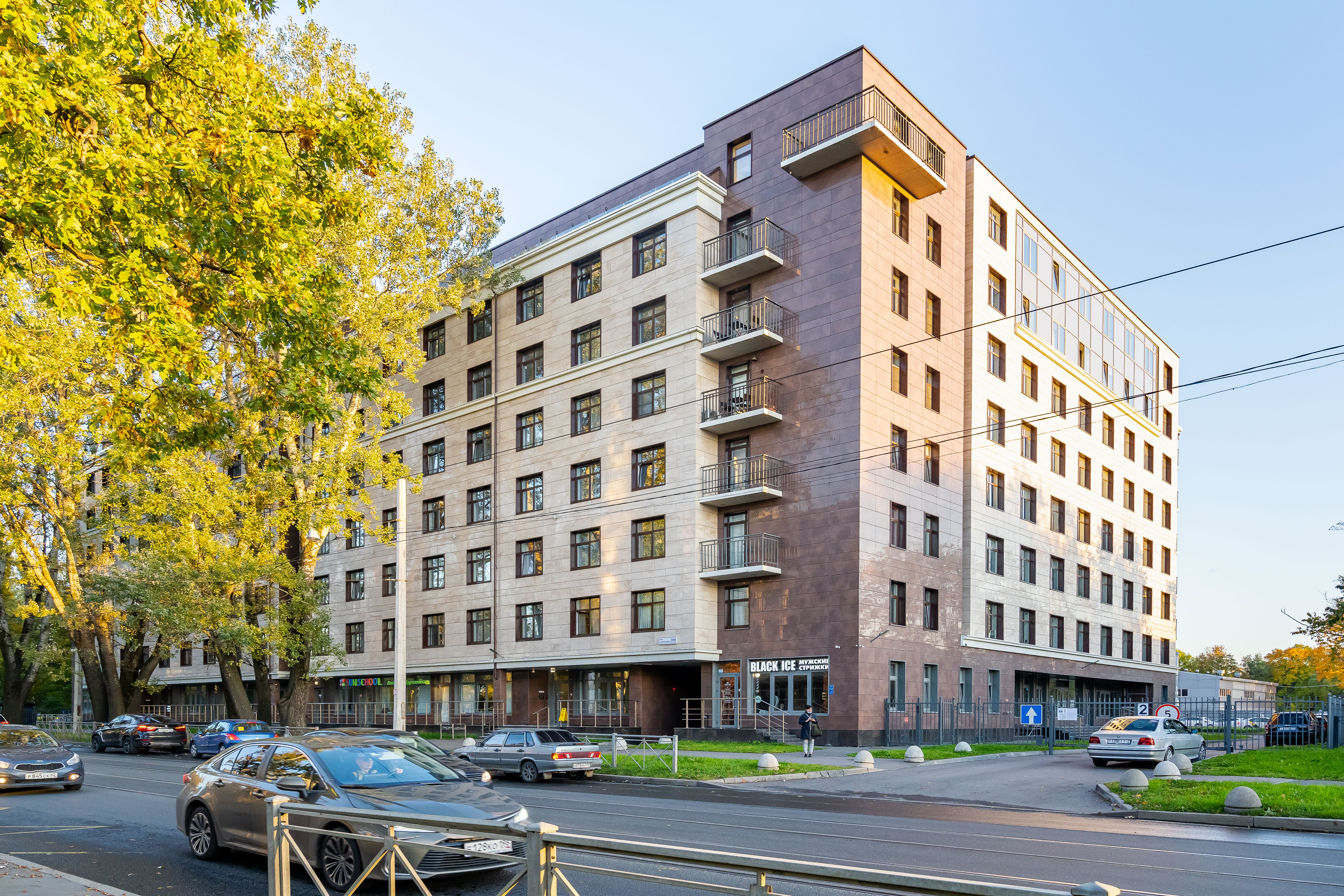 Фото Абрикосовое дерево Елагин