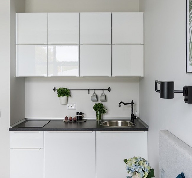 Фото Абрикосовое дерево Елагин