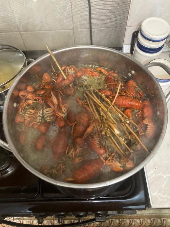 Фото Фаворит