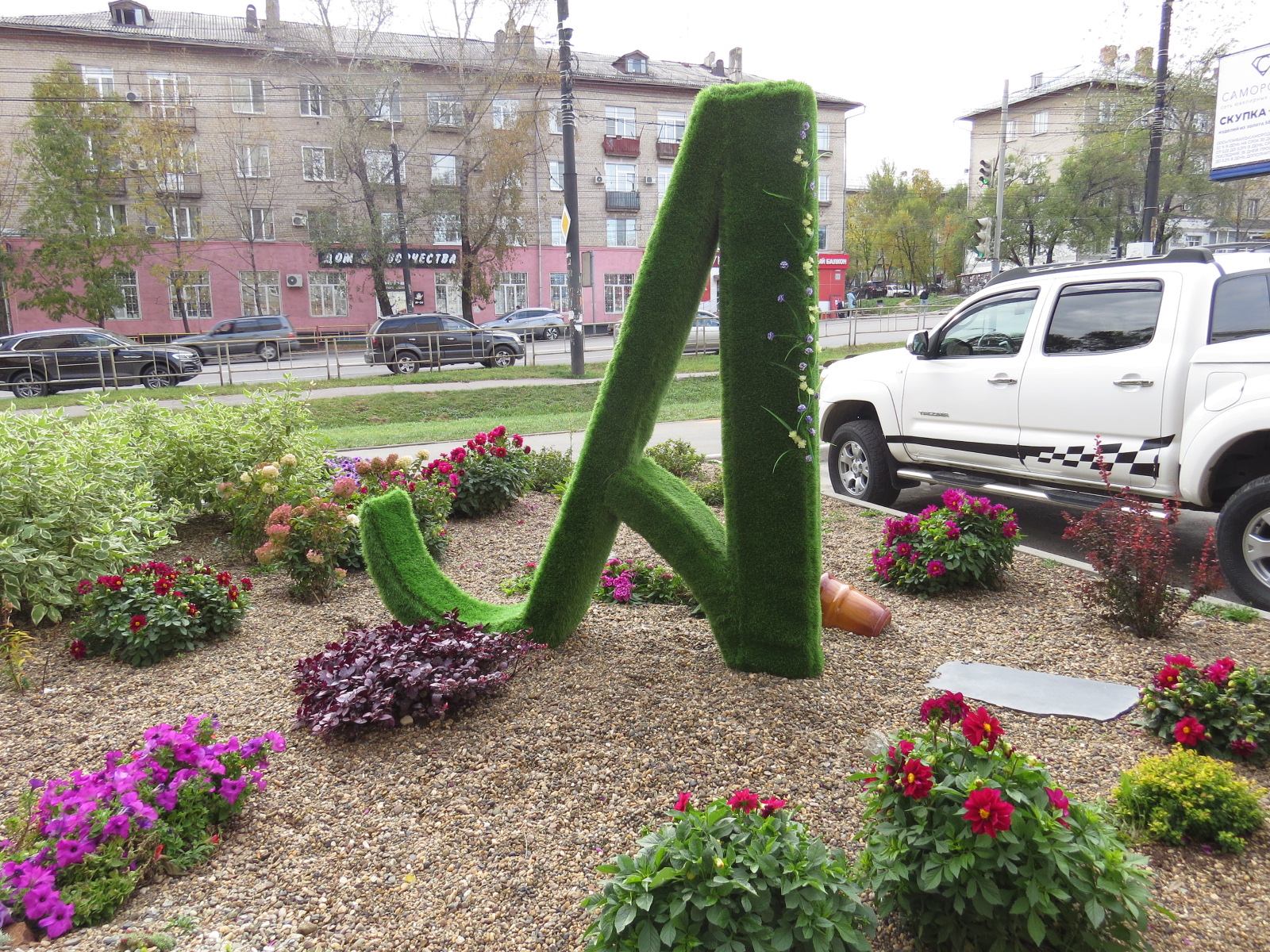 Фото Аврора