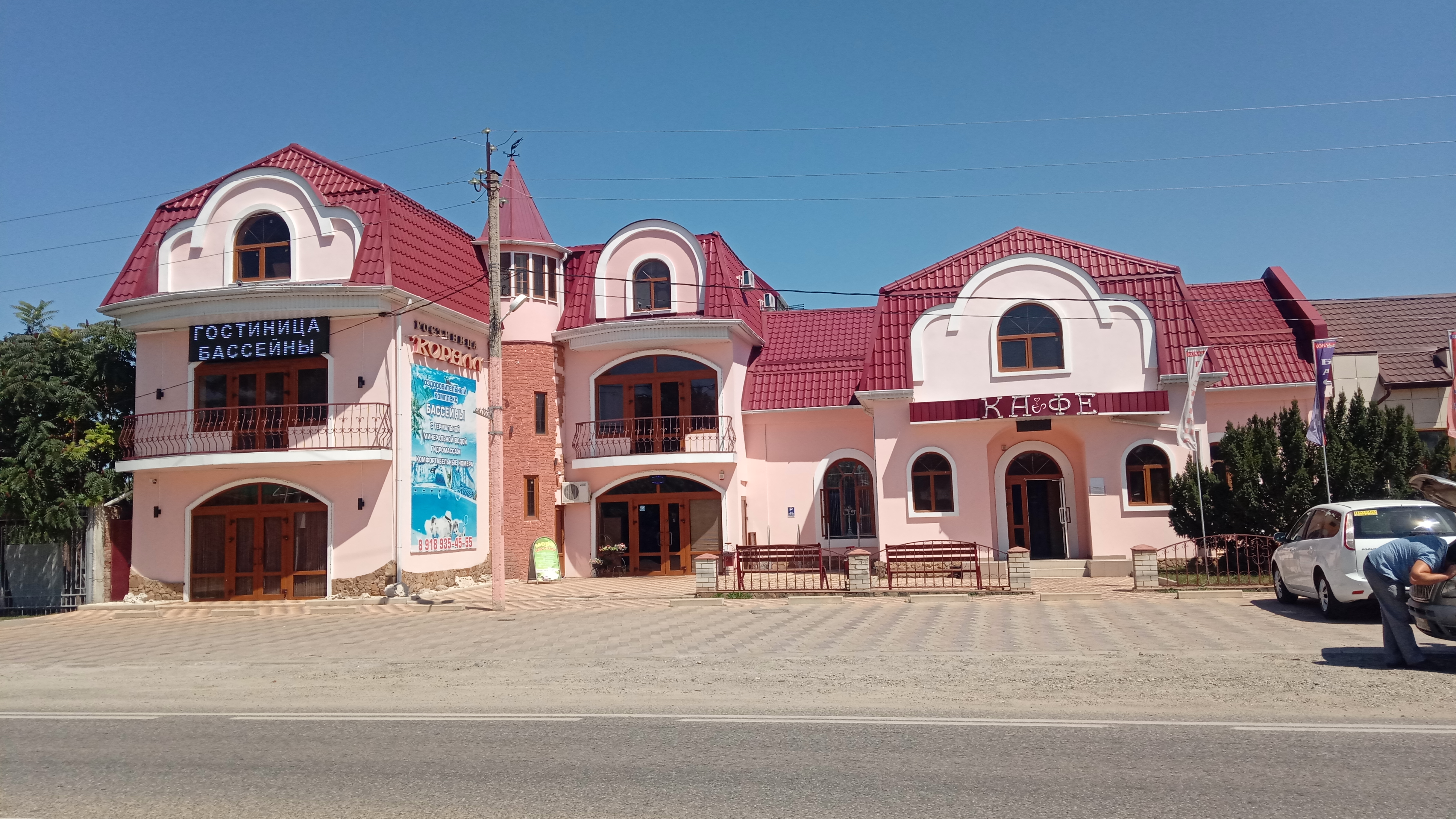 Фото Коралл фемели