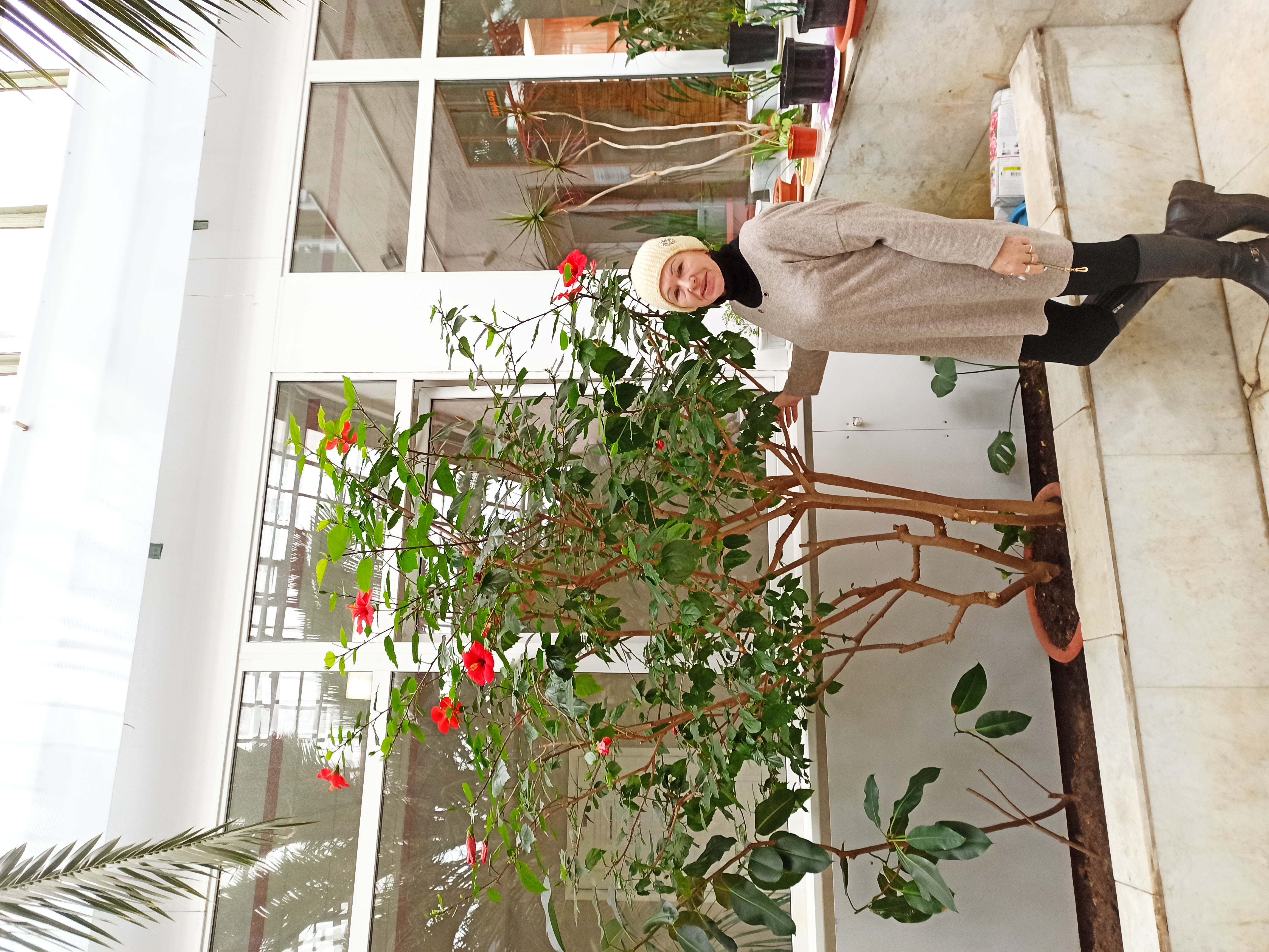 Фото Севмаш