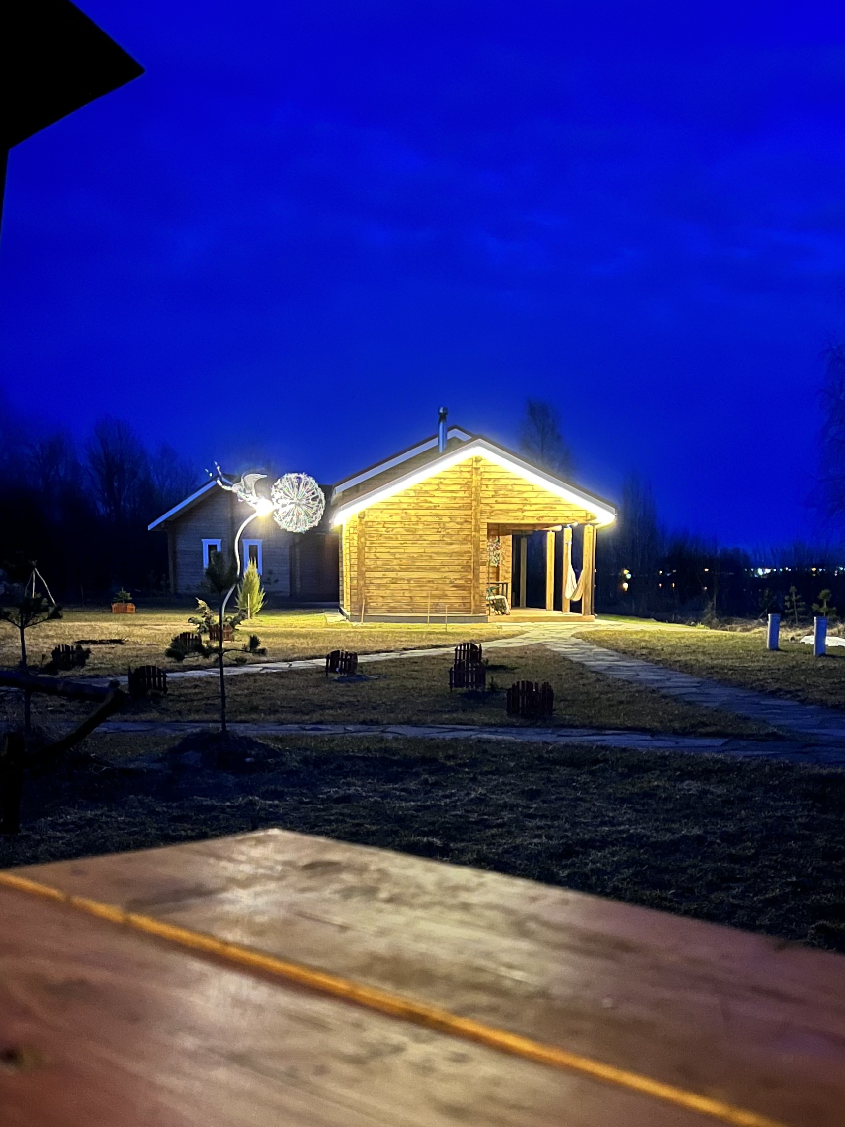 Фото Крокус