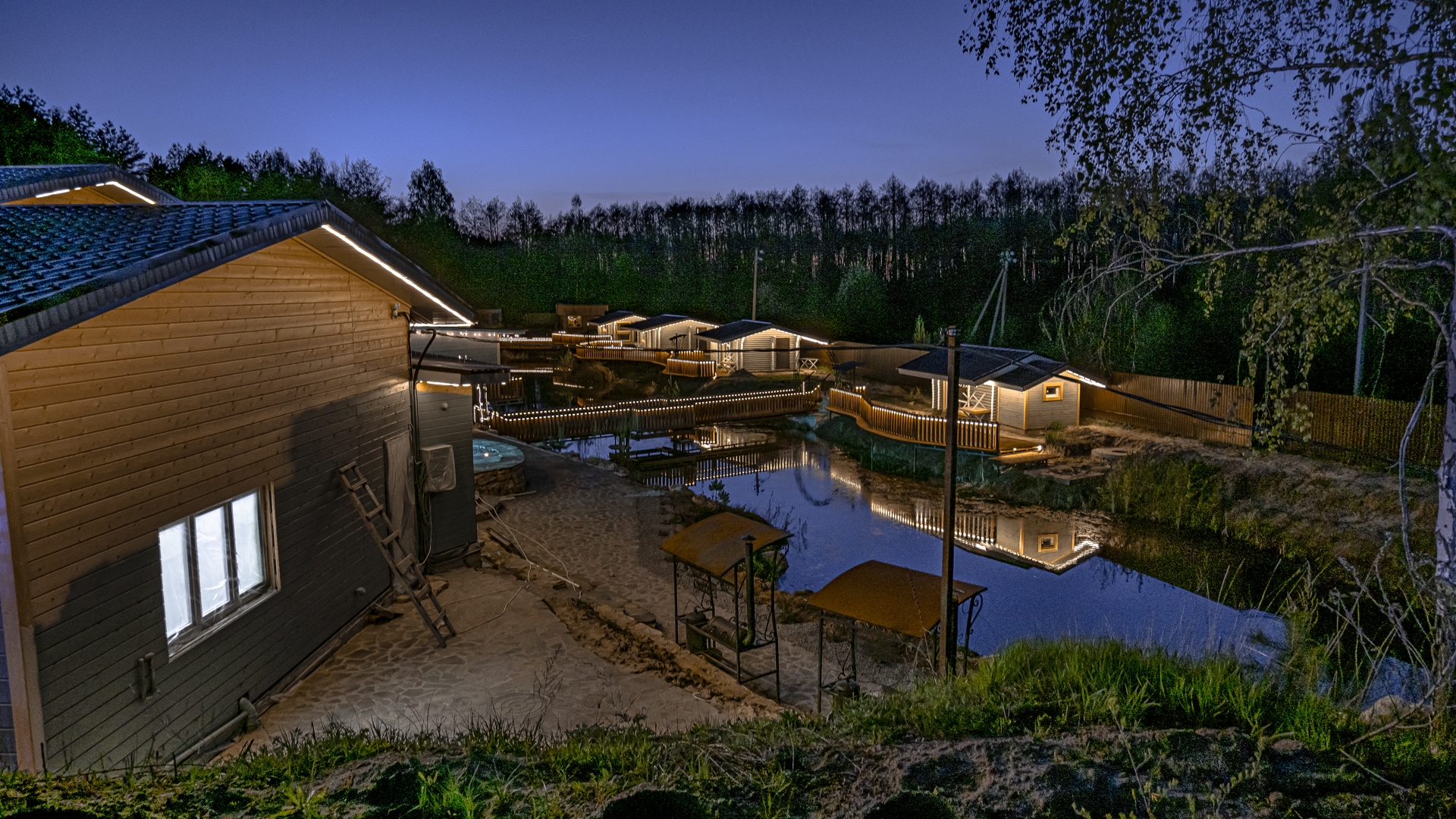 Фото Лесная история