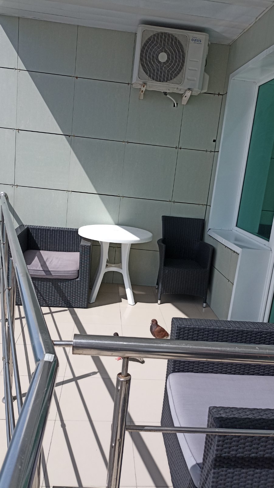 Фото Аррива