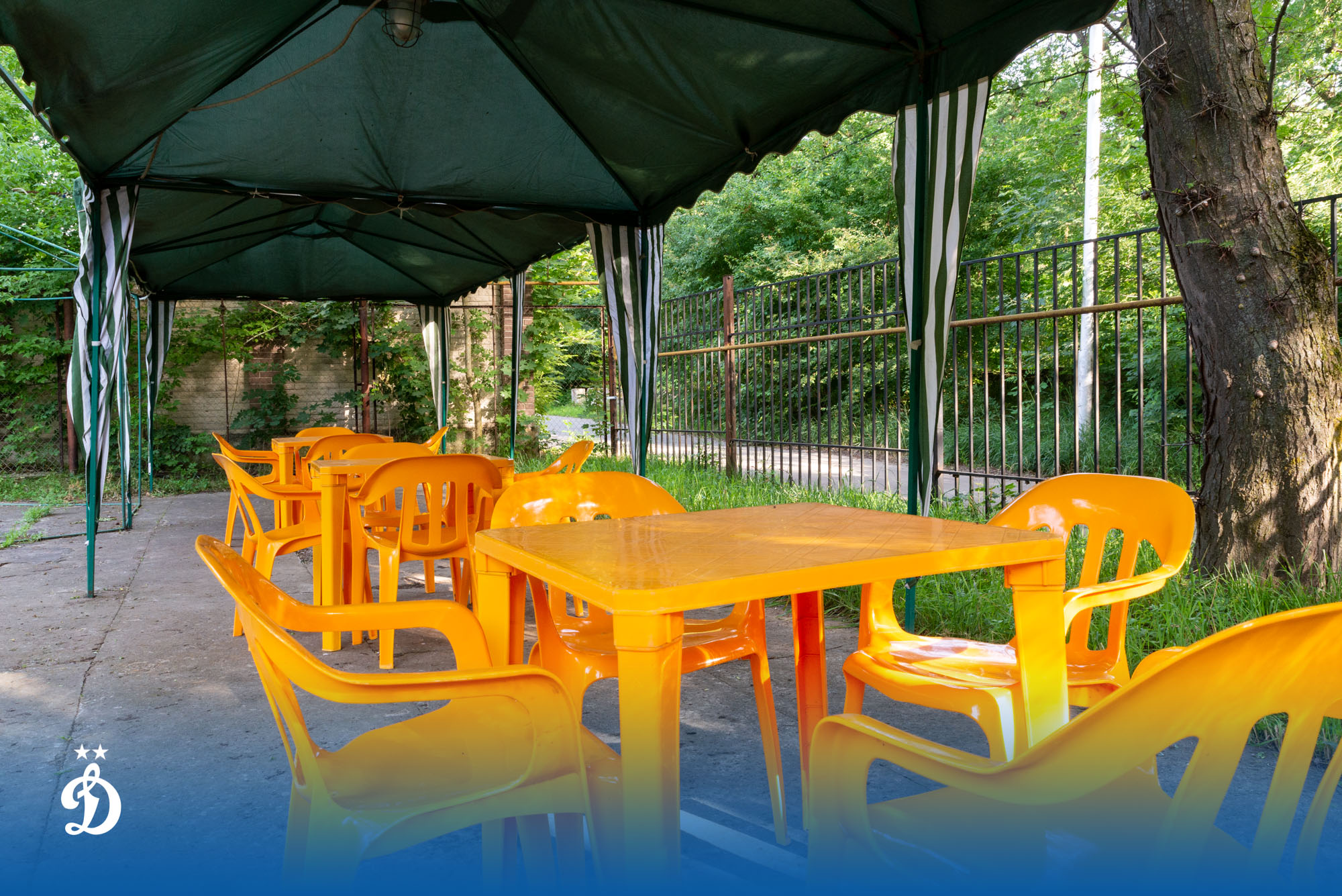 Фото Динамо