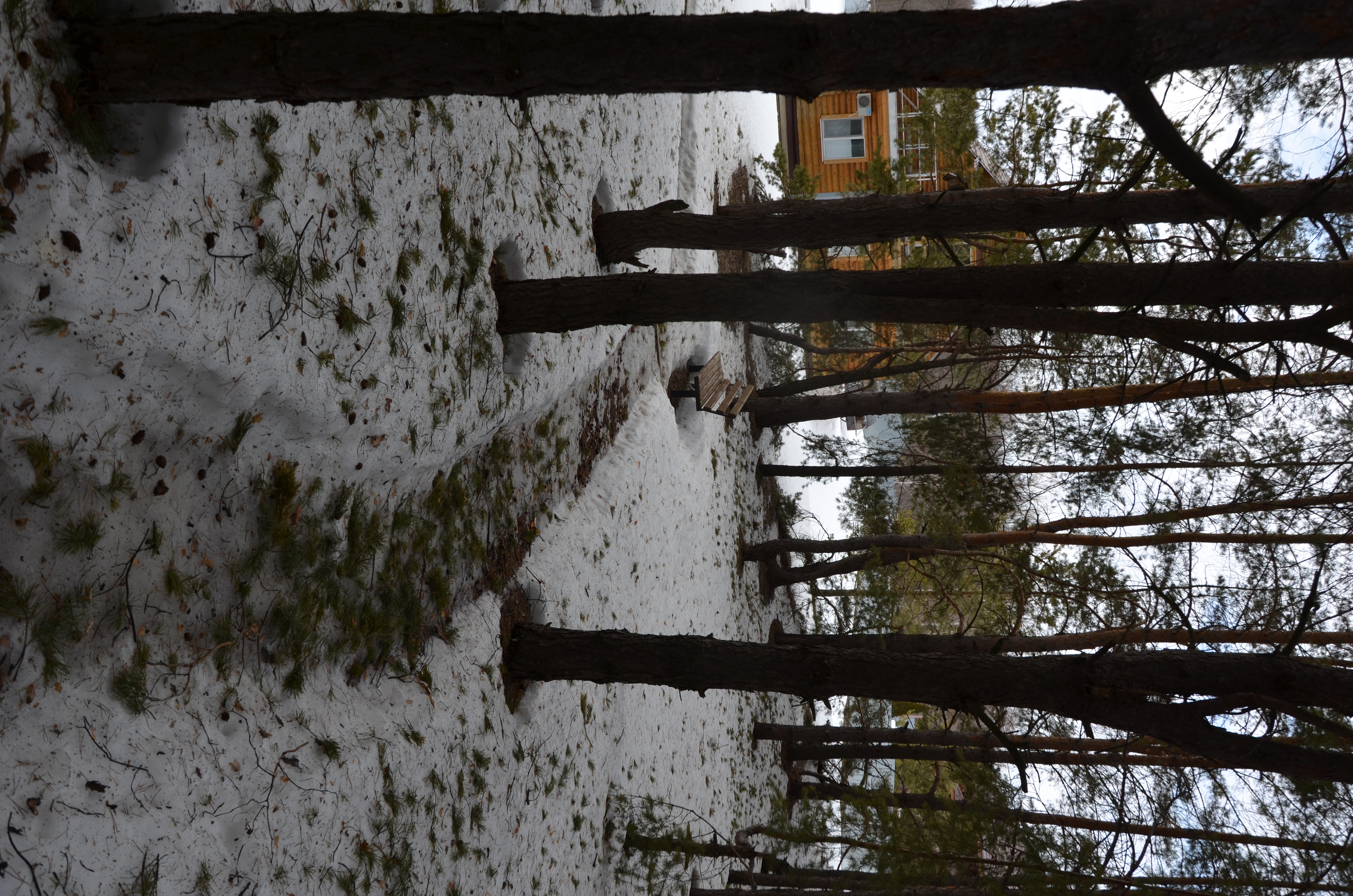 Фото База в Приречном