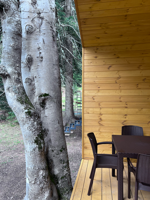 Фото Сияние Family Club