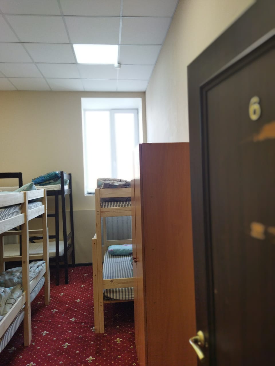 Фото Вежливый лось на Дмитровской