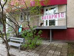 Нотариус Сафронова Е.А. (Bratev Kashirinykh Street, 101), notaries