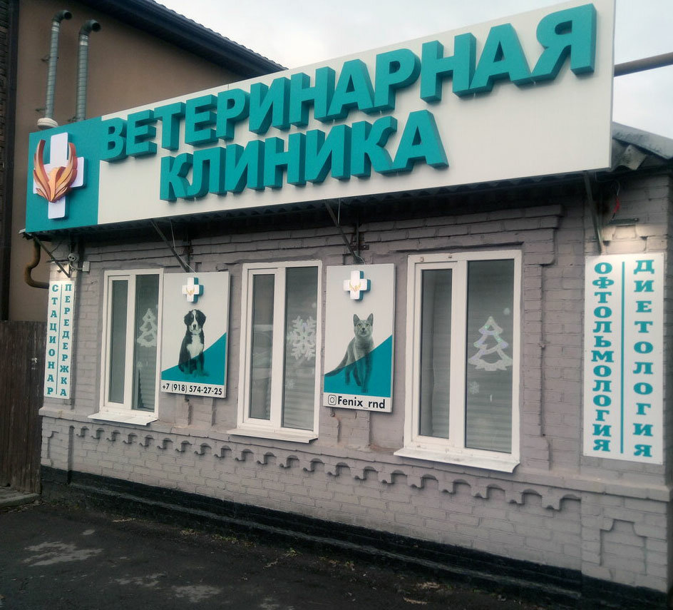 Ветеринарная клиника феникс ул мадояна 26а фото