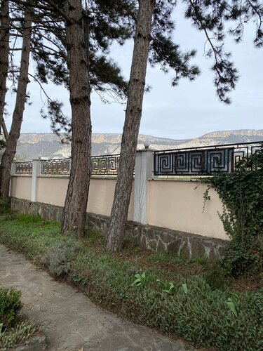Дикий мед  фото 6