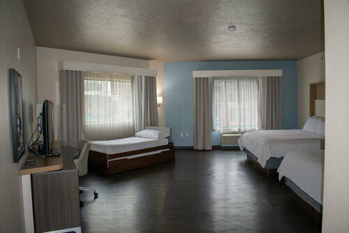 Гостиница Holiday Inn Omaha Downtown - Waterpark, an Ihg Hotel в Омахе