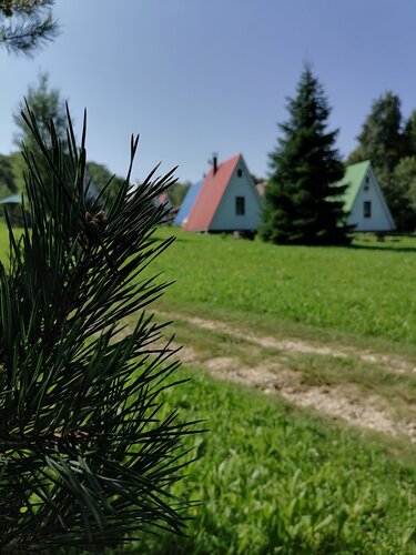 Турбаза Лесная поляна в Мезмай