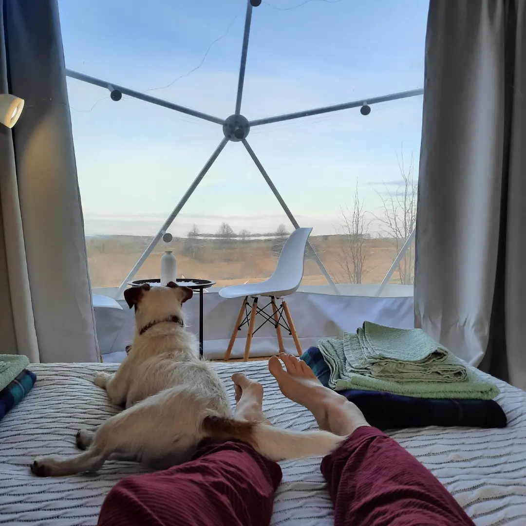 Фото Дача Липы