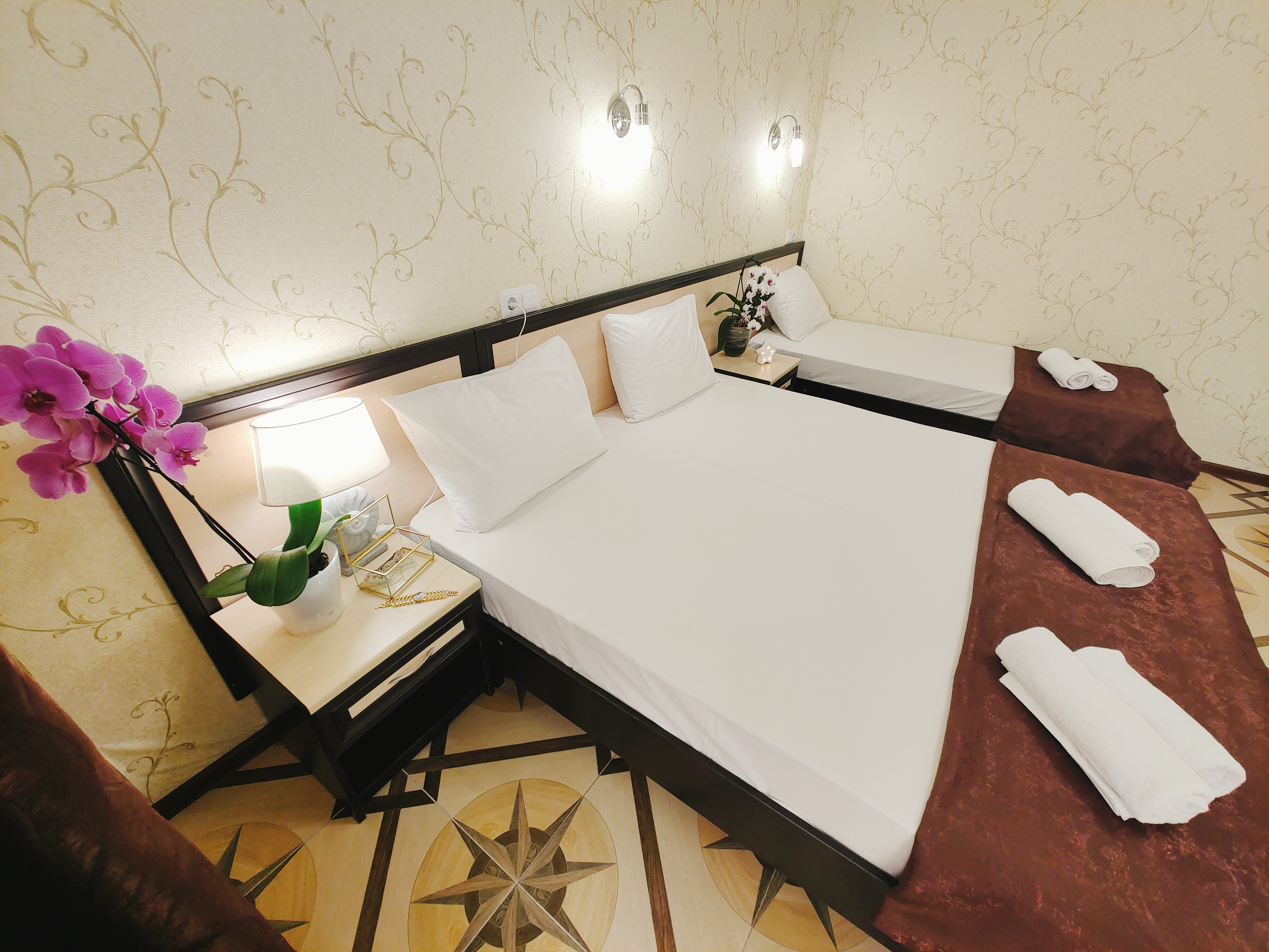 Фото Наутилус