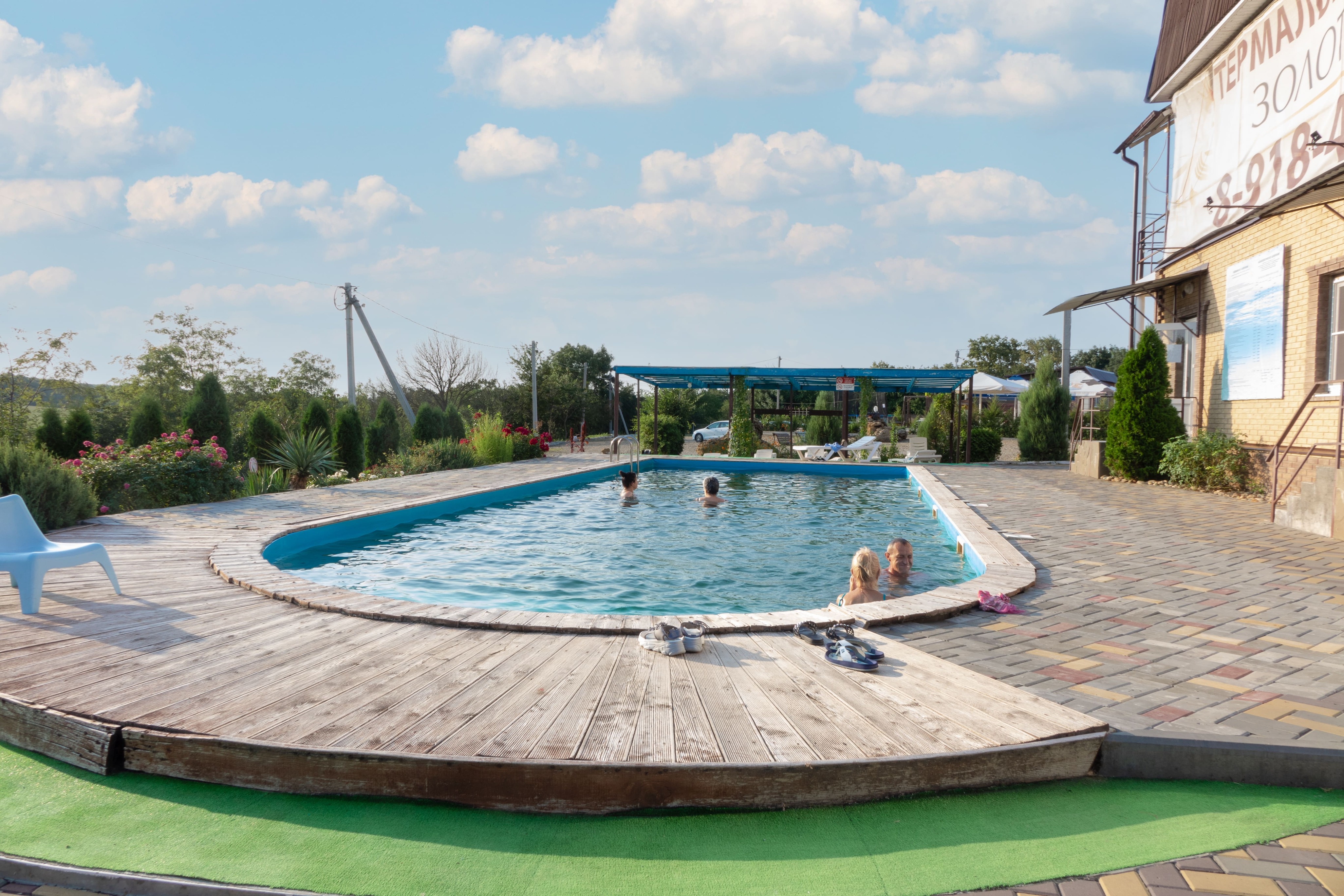 Фото Золотая рыбка