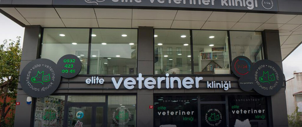 عيادة بيطرية Sancaktepe Elite Veteriner Klinigi ، اسطنبول، صورة