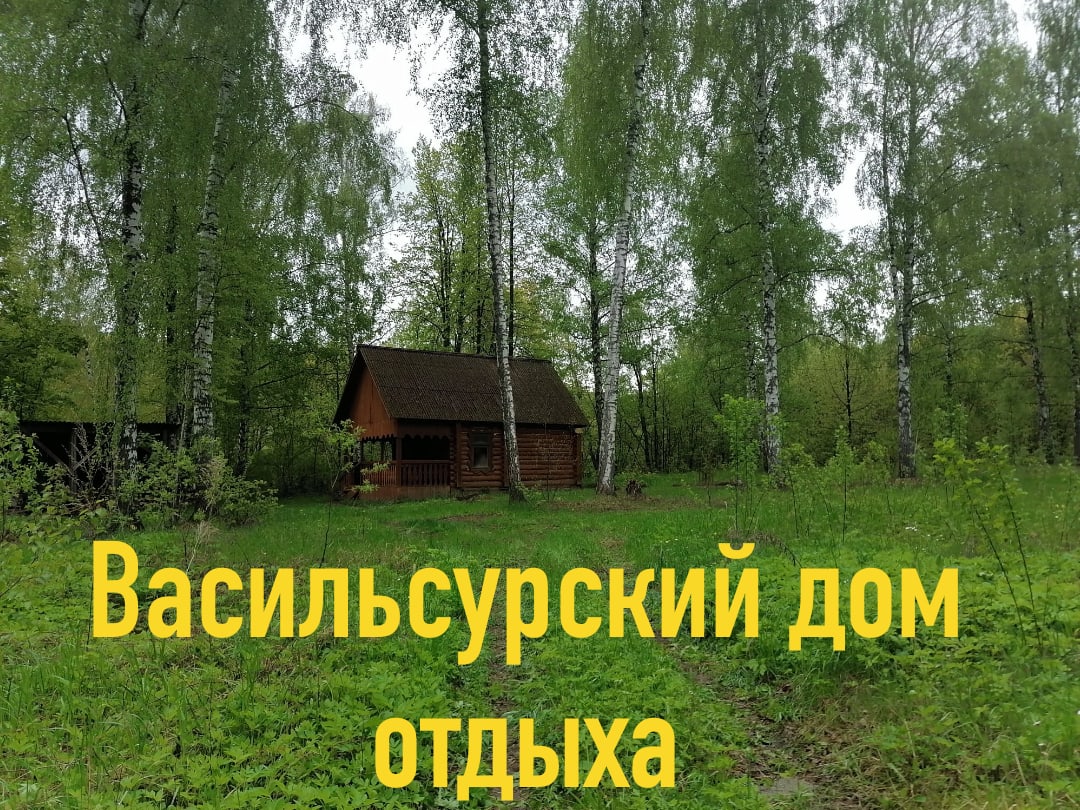 Фото Васильсурский