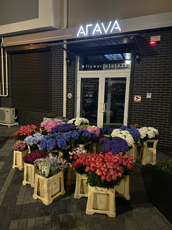 Flower shop Агаvа, Kaliningrad, photo