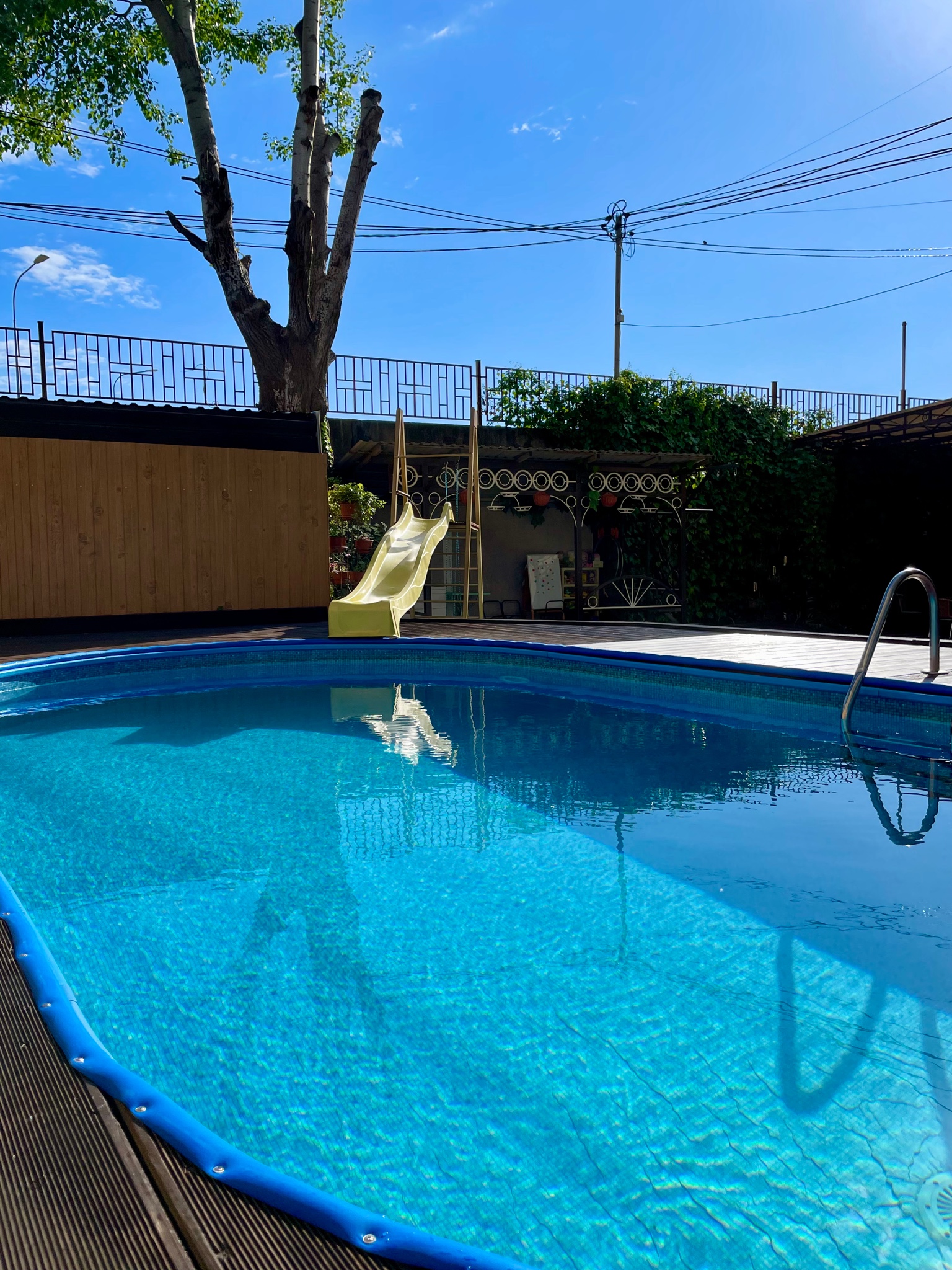 Фото Дельфин Парк