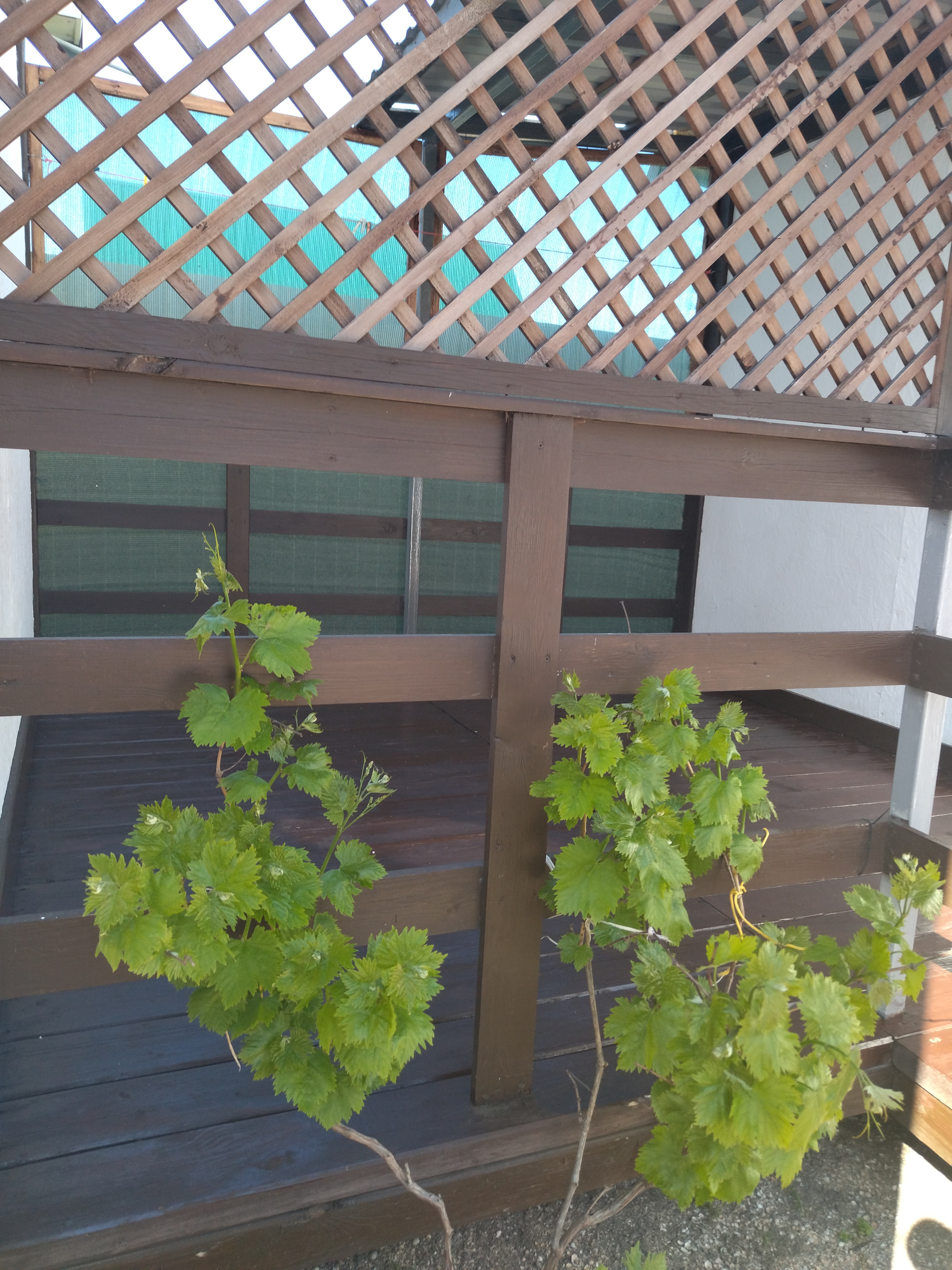 Фото Песчаный Берег