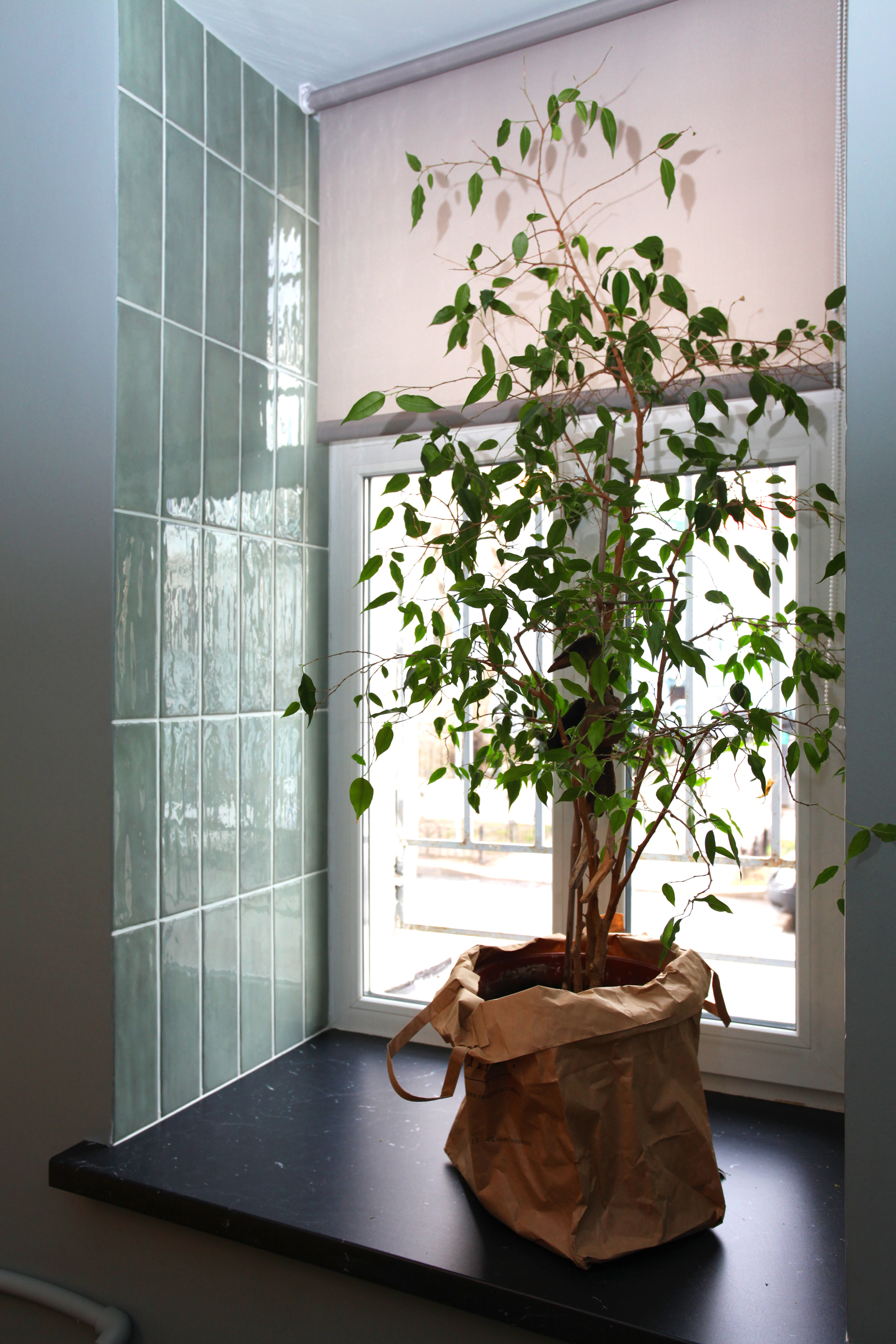 Фото Botanica Art Aparts