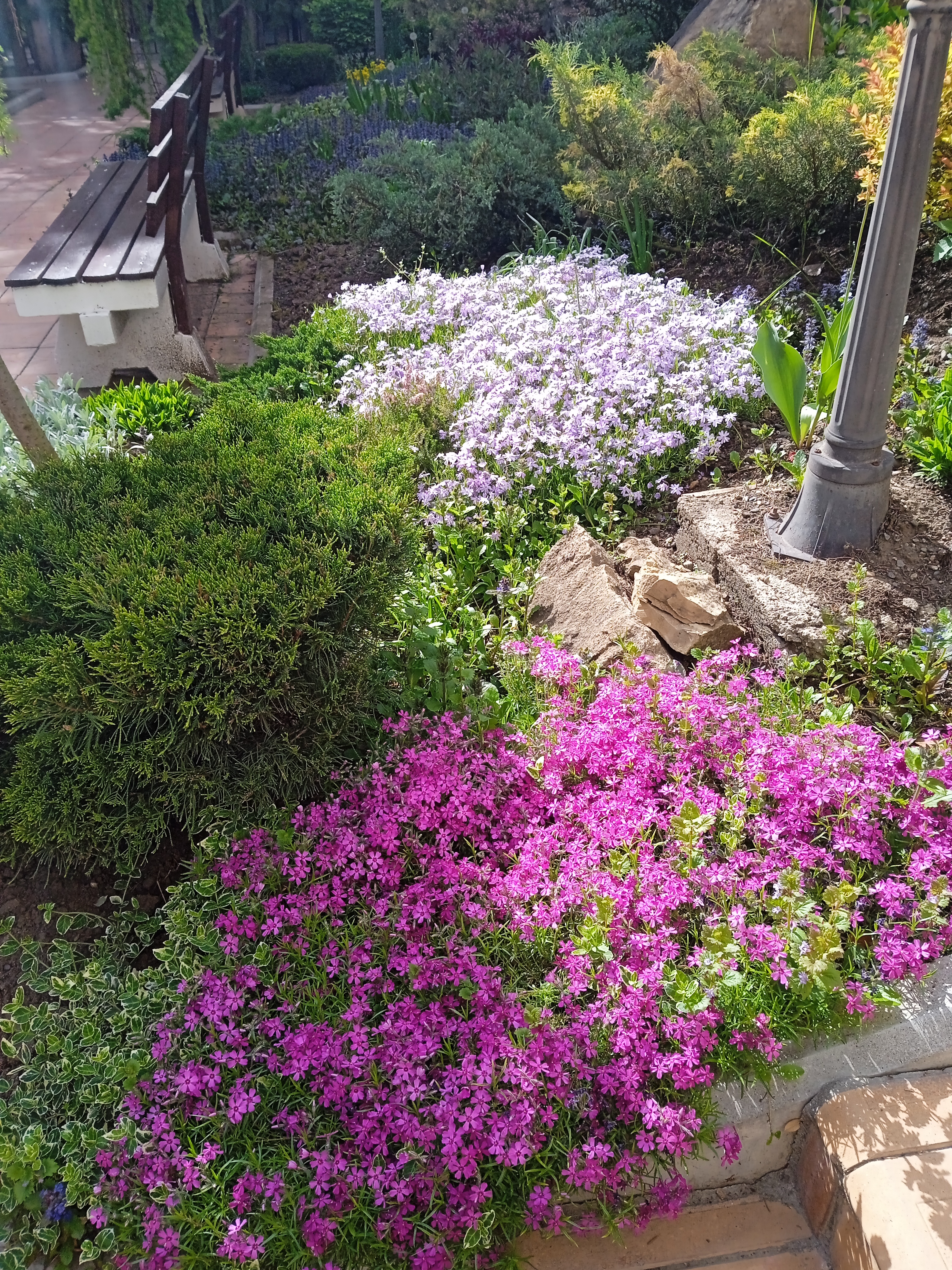 Фото Радуга