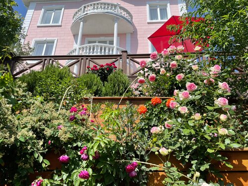 Гостевой дом Арт Прованс у моря в Крыму