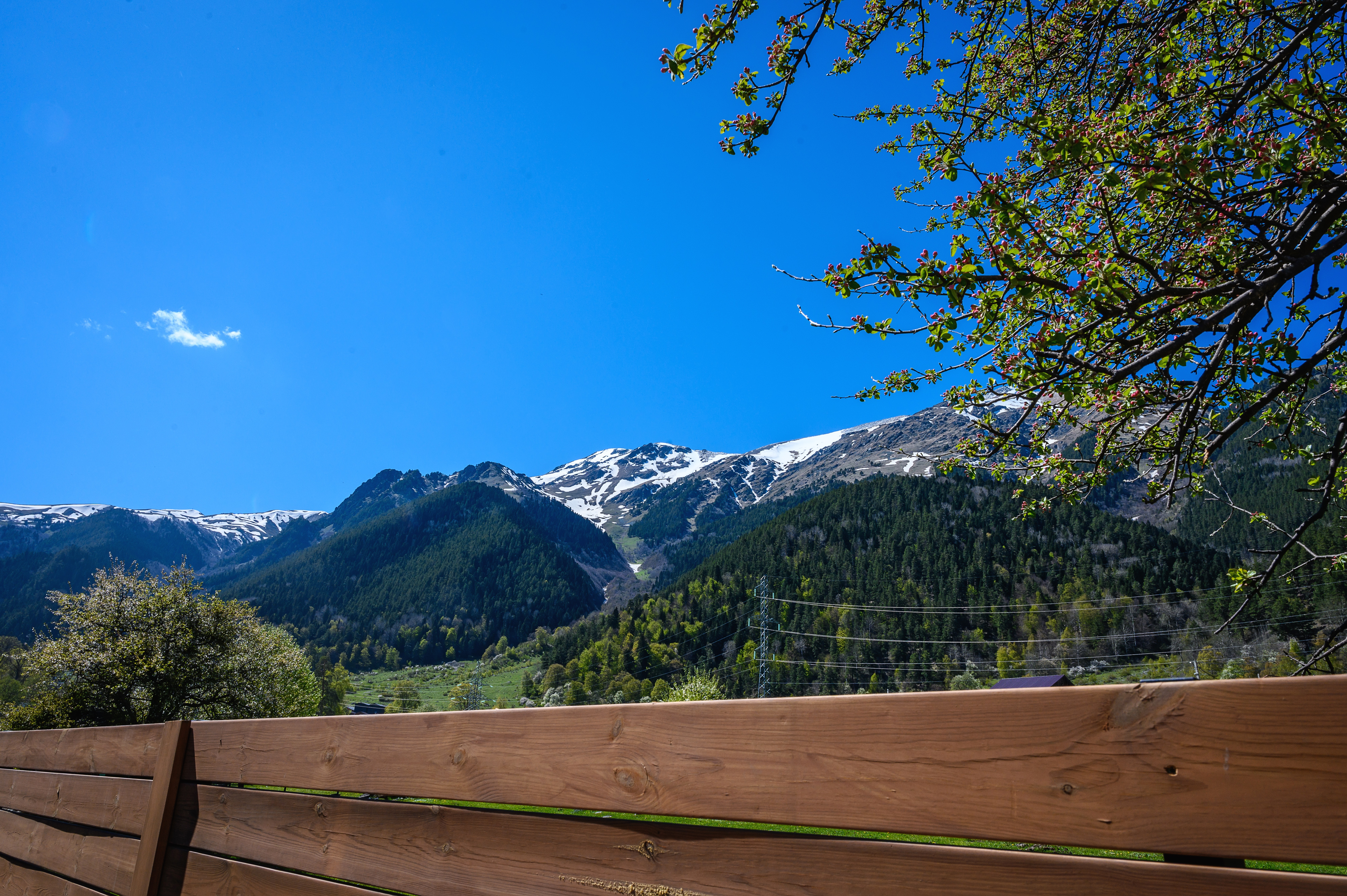 Фото Алёлина Хата