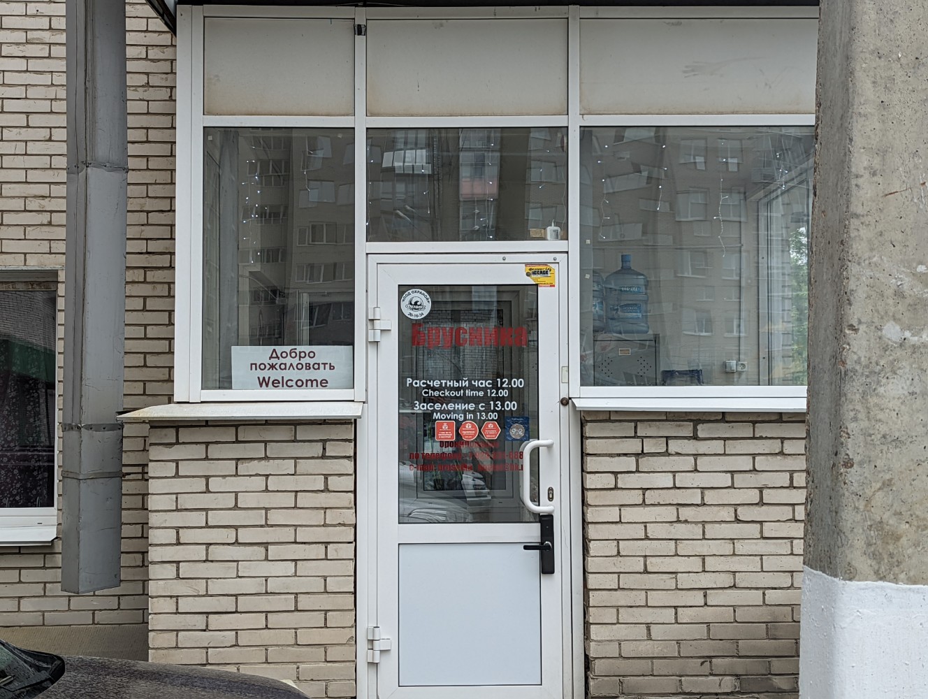 Фото Брусника