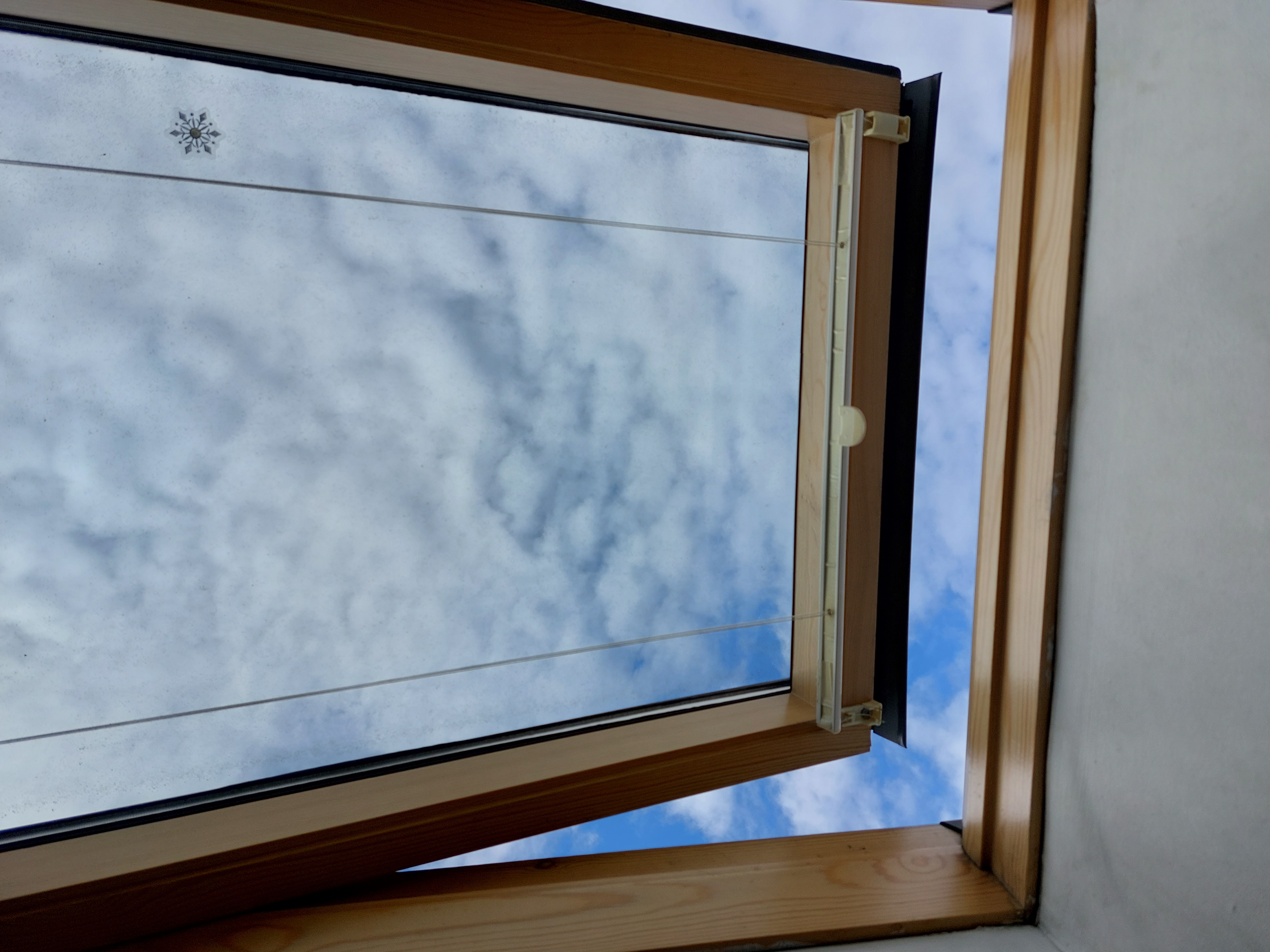 Фото Страна Чудес