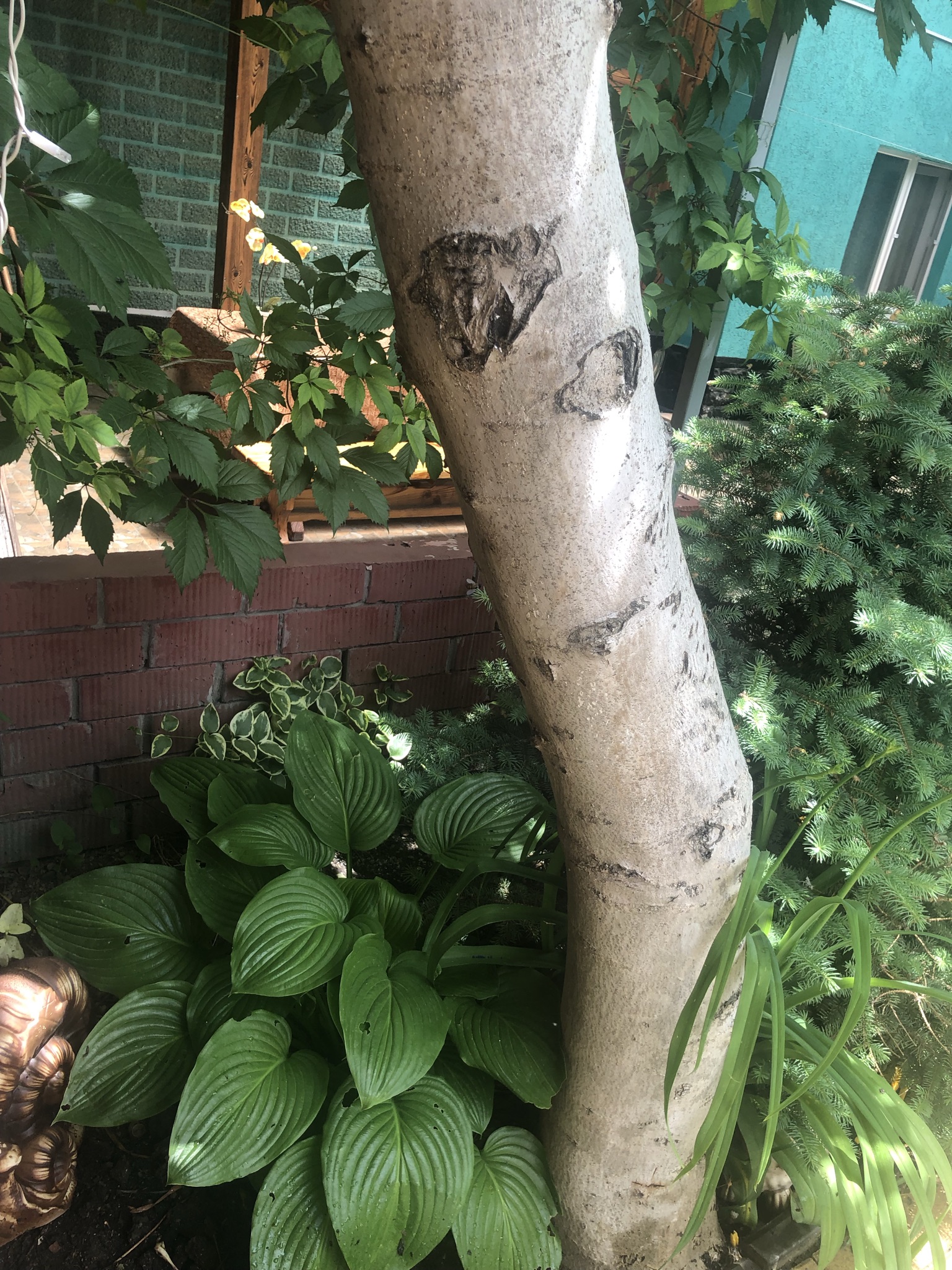 Фото Уютный Дворик