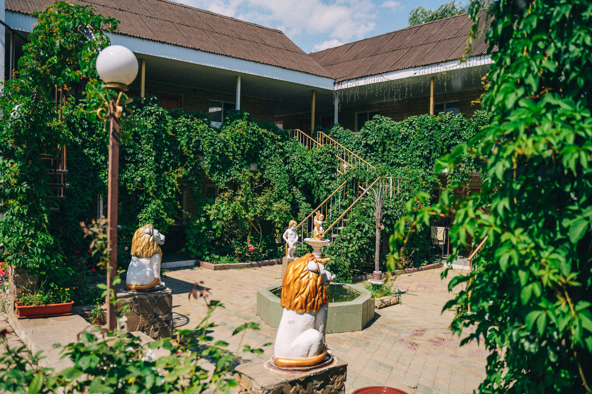 Фото Гостевой дом Lion