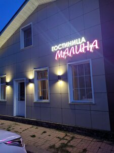 Gostinitsa (selo Kochki, ulitsa Nekrasova, 61), hotel