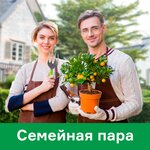 Lime (Tkatskaya Street, 5с16), household staff