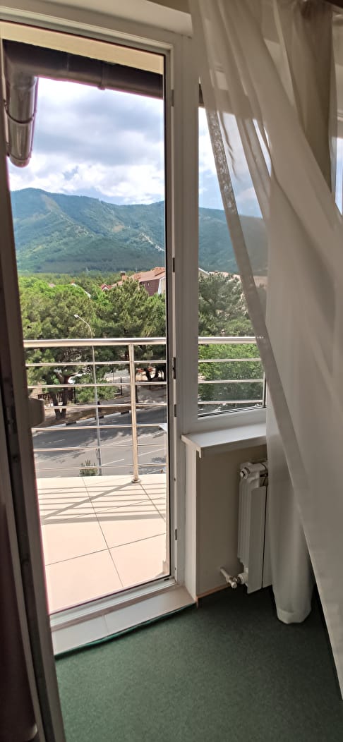 Фото Орхидея