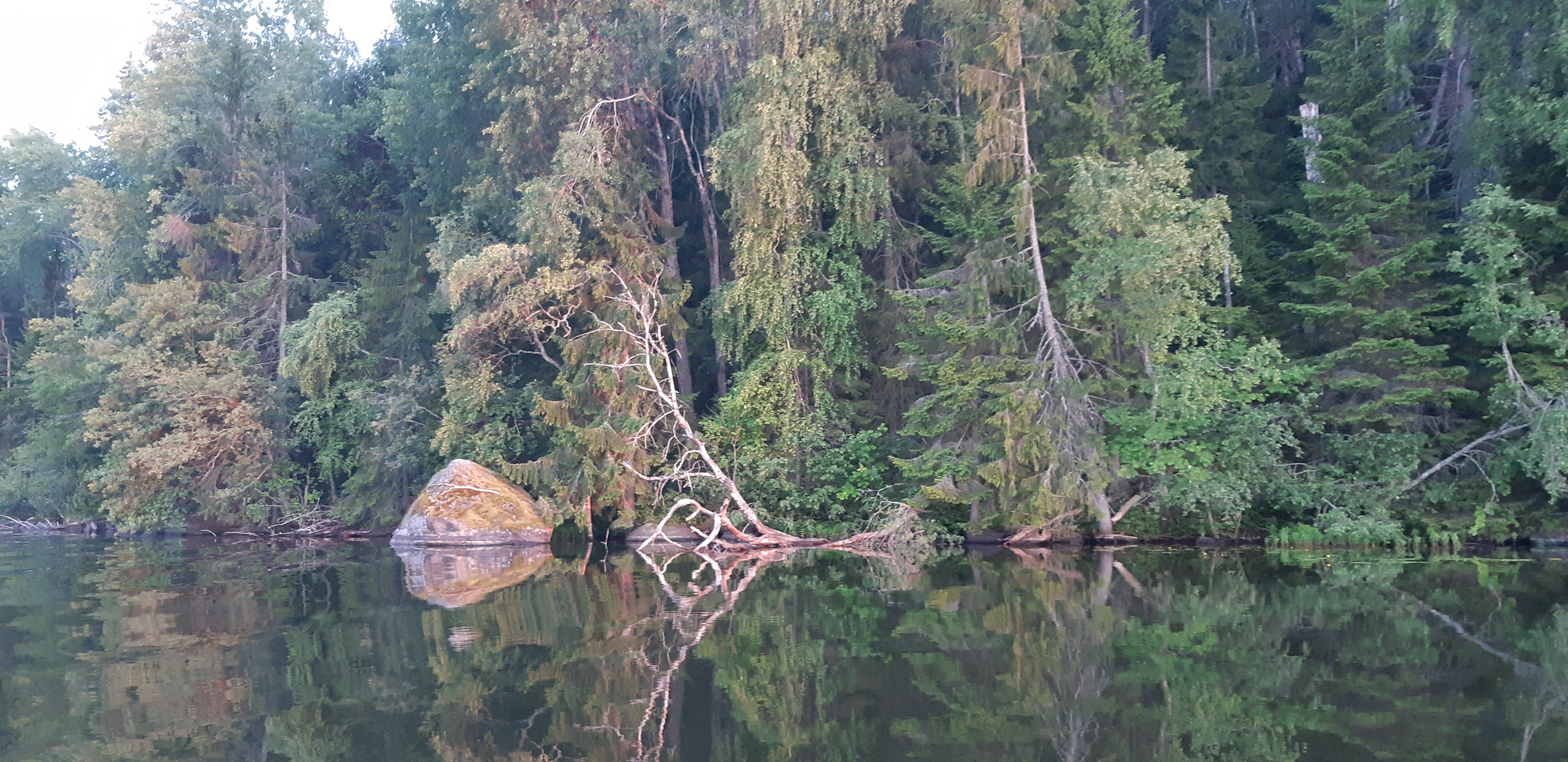 Фото Семейный дом