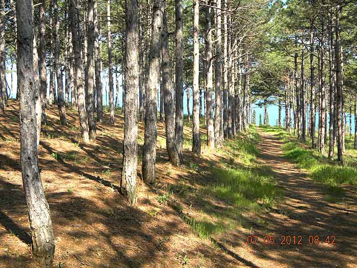 Фото Дом Куклиных