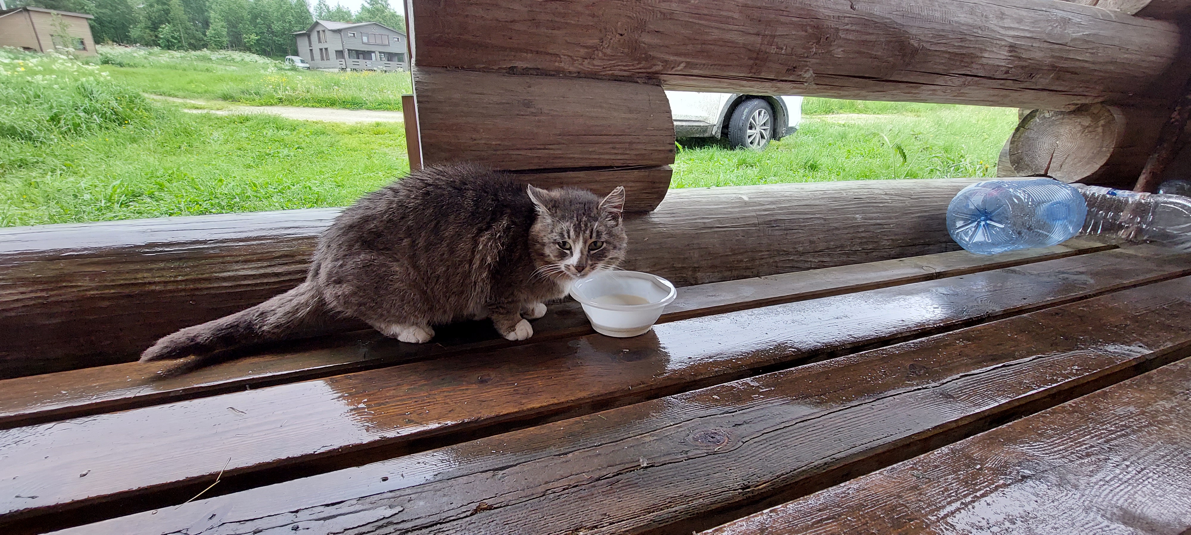 Фото Турбаза Сегозеро